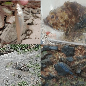 Thumbnail of post image 002